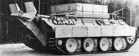 Bergepanther