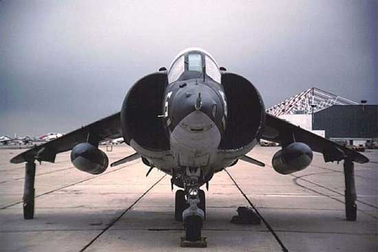 Harrier