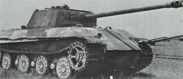 Bergepanther